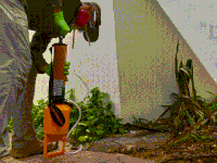 Untitled ‑ Made with FlexClip (1) Control de plagas en Yucatán